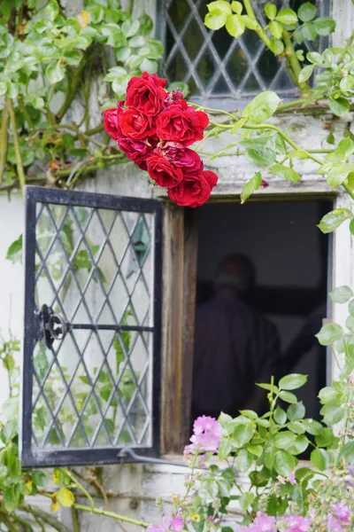 Casas de campo — Fotografia de Stock