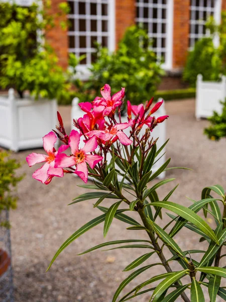 Giardini Hanbury Hall Estate Worcestershire Inghilterra — Foto Stock