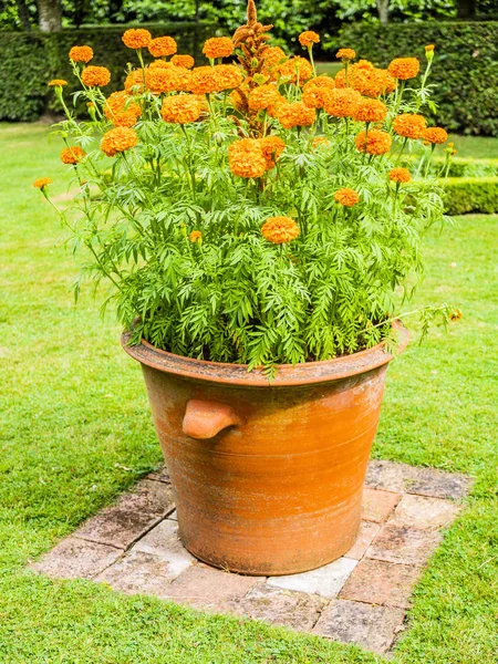 Gardens Hanbury Hall Estate Worcestershire England — Stock Photo, Image