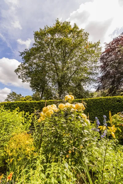 コッツウォルズイングランド英国のキフトゲートコートの庭園 — ストック写真