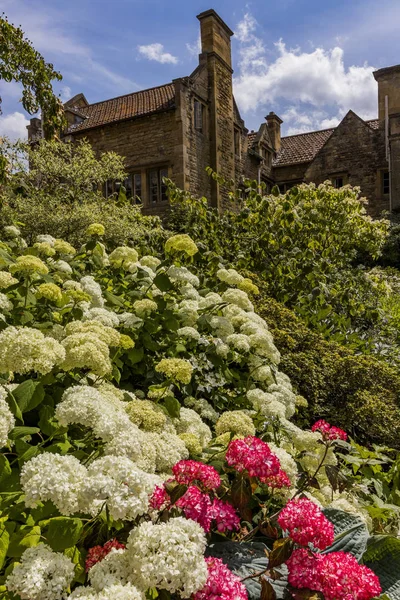 Ogrody Kiftgate Sąd Cotswolds Anglia — Zdjęcie stockowe