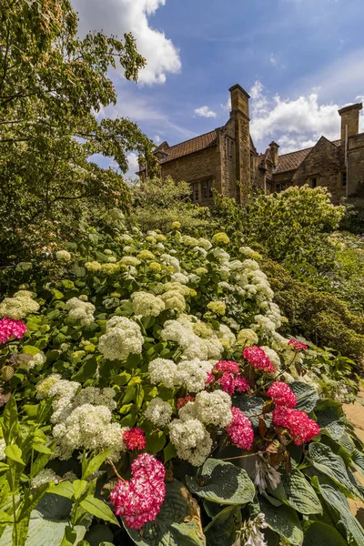 Jardins Kiftgate Court Dans Les Cotswolds England — Photo