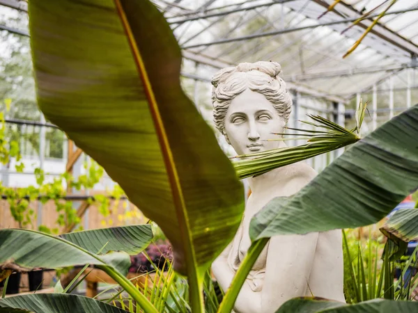 園芸用品センター ファーム ショップ ウォリックシャー イギリス ガーデニング花植物食品園芸娯楽趣味ショッピング小売 — ストック写真