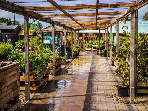 Jardim Centro Fazenda Loja Warwickshire Inglaterra Jardinagem Flores Plantas Alimento — Fotografia de Stock