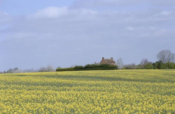 Zemědělská Krajina Zemědělská Půda Warwickshire Anglie — Stock fotografie