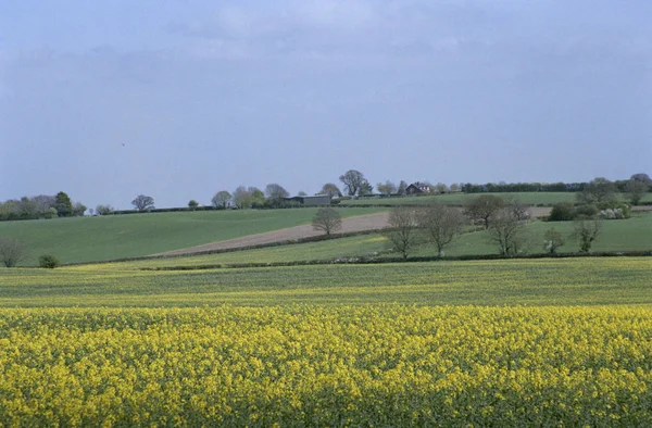 Zemědělská Krajina Zemědělská Půda Warwickshire Anglie — Stock fotografie