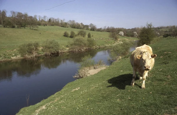 河谷的河流什罗普郡中部英格兰英国 — 图库照片