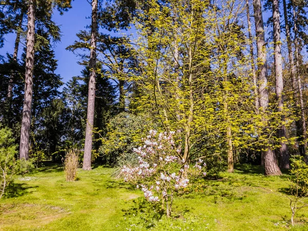 Spetchley Park Gardens Worcester Worcestershire Midlands England — Stock Photo, Image