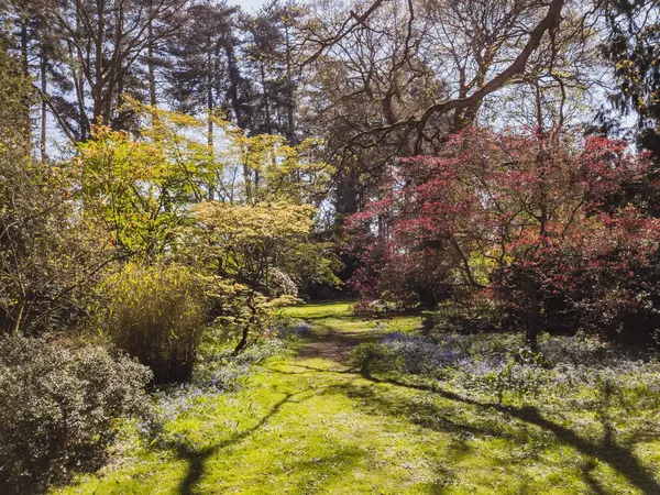 Spetchley Park Gardens Worcester Worcestershire Midlands Inglaterra Reino Unido — Foto de Stock