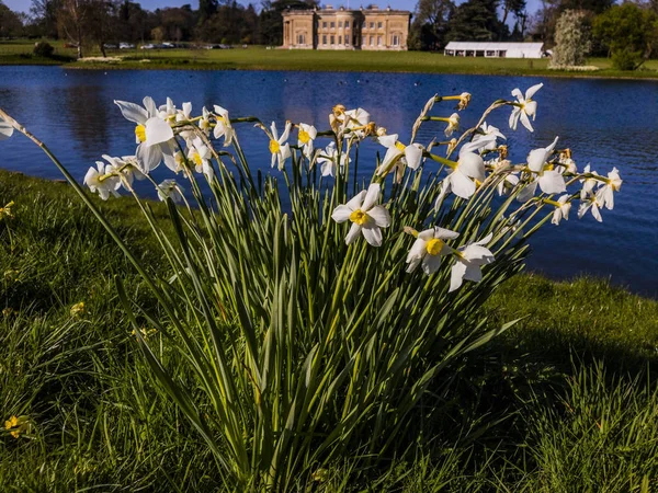 Spetchley Park Gardens Worcester Worcestershire Midlands Anglia Wielka Brytania — Zdjęcie stockowe