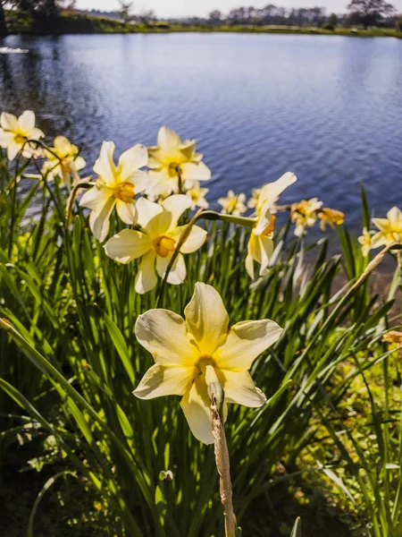 Spetchley Park Gardens Worcester Worcestershire Midlands England — Stock Photo, Image