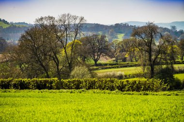 cotswold manzara gloucestershire İngiltere