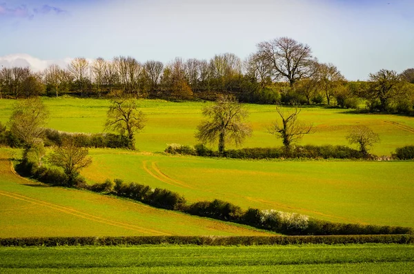 Cotswold Manzara Gloucestershire Ngiltere — Stok fotoğraf