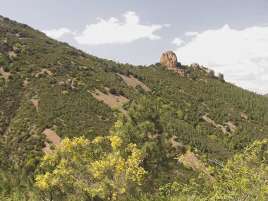 Esterel Ulusal Ormanı, Fort Domaniale de l 'Esterel. Massif de lesterel Provence Fransa