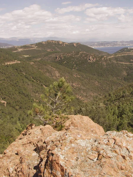 Fort Domaniale Esterel Nationaal Bos Van Esterel Massif Lesterel Provence — Stockfoto