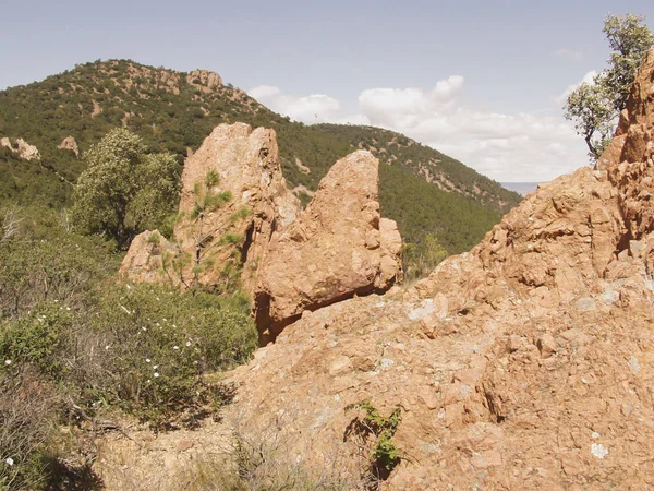 Fort Domaniale Esterel Nationaal Bos Van Esterel Massif Lesterel Provence — Stockfoto