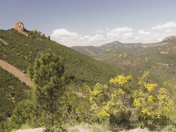 Fort Domaniale Esterel National Forest Esterel Massif Lesterel Provence France — Stock Photo, Image