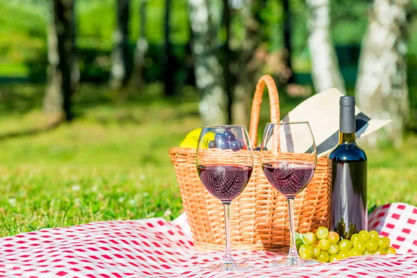 Üzüm Şarap Parkta Masa Örtüsü Üzerinde Sepet Piknik Için Nesneleri — Stok fotoğraf