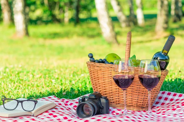 Scattern Summer Park Objects Picnic Pleasant Time People — Stock Photo, Image