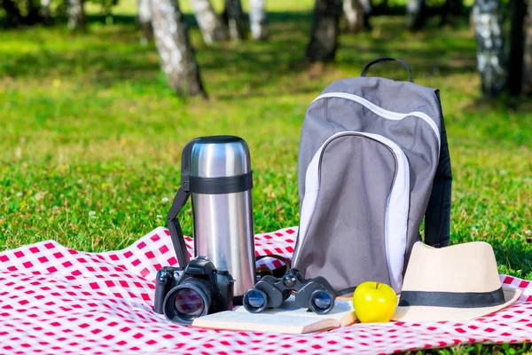 Primer Plano Mantel Parque Objetos Para Picnic Descanso Para Turista — Foto de Stock