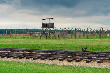 Auschwitz, Polonya - 12 Ağustos 2017: Demiryolu Birkenau Auschwitz toplama kampına