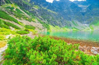 Tatras güzel pitoresk gölde görünümünü