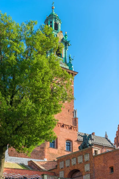 Krakow Poland August 2017 Interesting Place Tower Wawel Castle Krakow — Stock Photo, Image