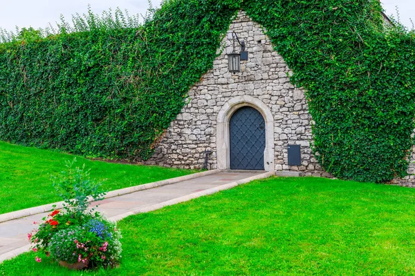 Medieval Massive Door Building Vine Stone Wall — Stock Photo, Image