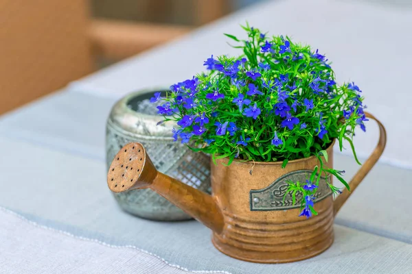 老式装饰浇水 可以与野花在桌子上的咖啡馆 — 图库照片