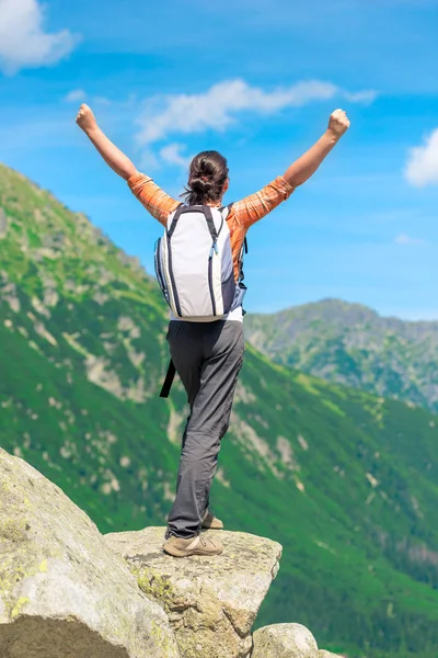 一个快乐的游客站在悬崖边上 隆起的手 — 图库照片