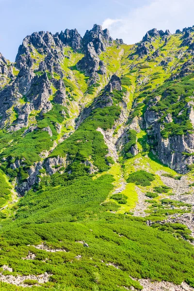 Vista Vertical Del Pico Agudo Las Montañas Tatras Alto Cerca — Foto de Stock