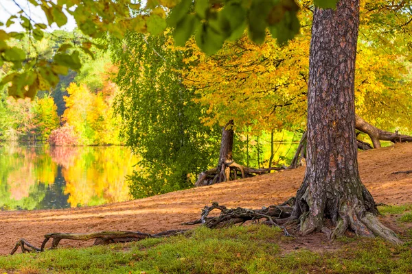 Pittoresco Paesaggio Autunnale Nel Parco Cittadino Una Vista Sul Lago — Foto Stock