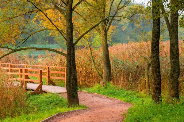 Early Morning Beautiful Empty Autumn Park Lake — Stock Photo, Image