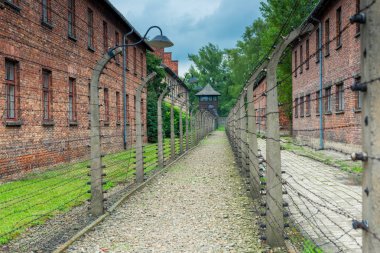 Auschwitz, Polonya - 12 Ağustos 2017: çit dikenli tellerle gerilim, Auschwitz toplama kampında altında