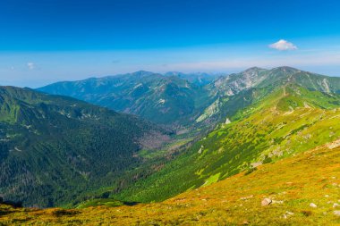 Polonya Tatra Dağları arasında pitoresk Vadisi