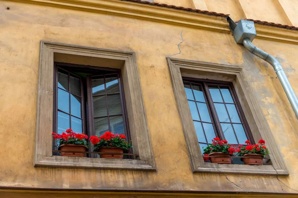 Pentole Con Geranio Rosso Sui Davanzali Della Casa Gialla Città — Foto Stock