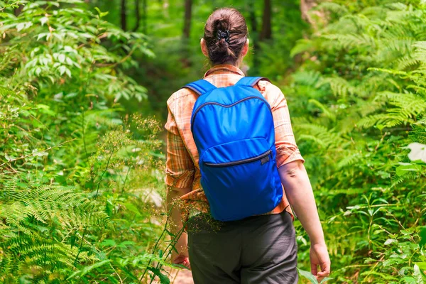 Вид Спины Женщины Рюкзаком Идущей Лесу — стоковое фото
