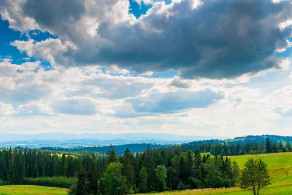 Belle Nuvole Sulla Radura Foresta Della Polonia All Orizzonte Dei — Foto Stock