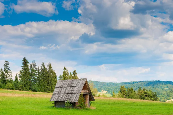 Old Wooden Hut Field Backdrop Beautiful Landscape — Stock Photo, Image