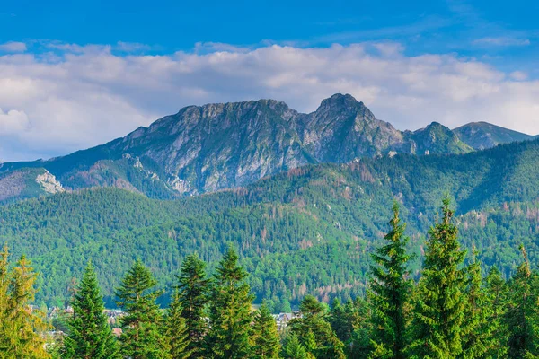 Tatra 四周是针叶林 风景秀丽 — 图库照片