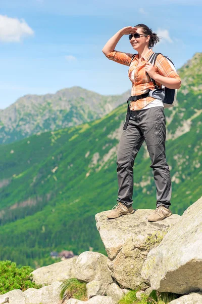 Turista Borde Del Acantilado Disfruta Del Hermoso Paisaje Las Montañas — Foto de Stock