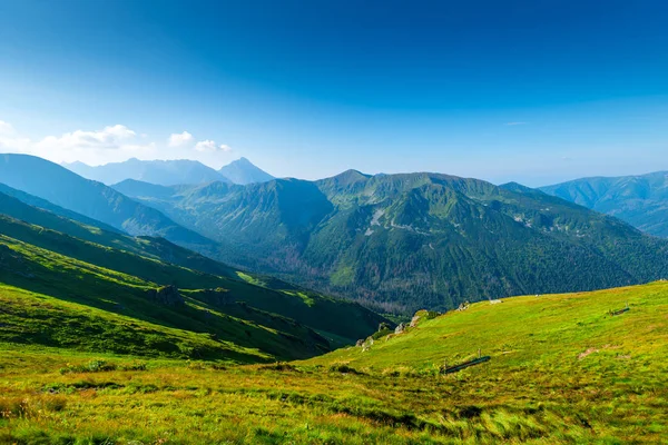 Hermosa Montaña Verde Día Soleado Verano Amanecer Las Montañas Tatra —  Fotos de Stock