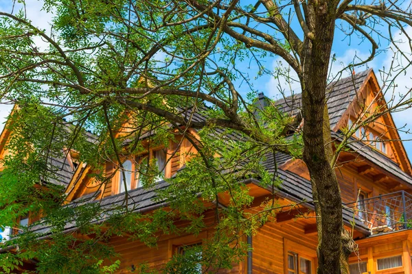 Spreading Tree Close Tall Wooden House — Stock Photo, Image