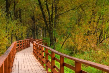 Sonbahar boş parkta Eylül yürüyüş yolu