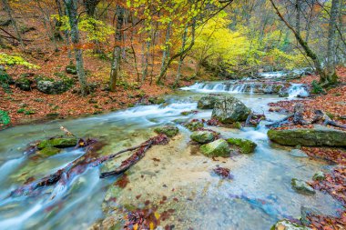 hızlı dağ river gorge, Sonbahar Doğa, güzel manzara