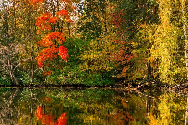 Klidné Krásné Jezero Odrazem Vodě Barevné Stromy Podzimní Krajina Parku — Stock fotografie
