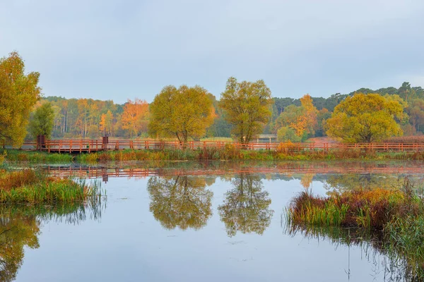 Jesień Spokojny Jeziora Kolorowych Drzew — Zdjęcie stockowe