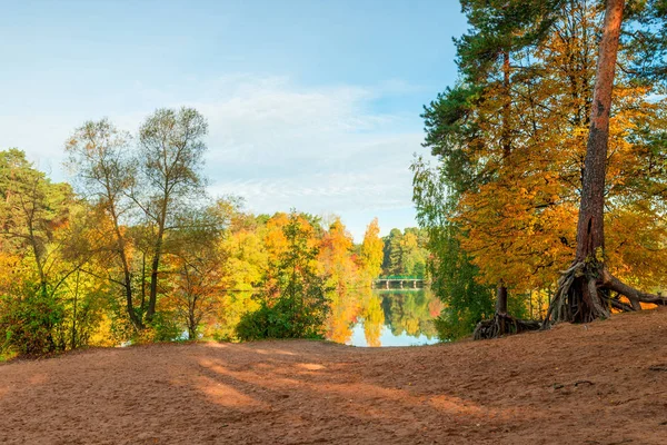 Желтая Оранжевая Листва Деревьев Парке Берегу Живописного Озера Красивый Осенний — стоковое фото