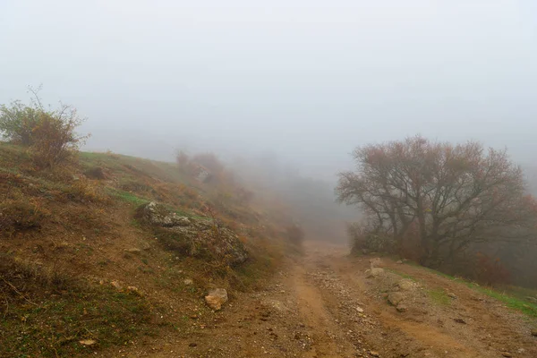 Strada Sterrata Verso Montagna Paesaggio Autunnale Montagne Nella Fitta Nebbia — Foto Stock