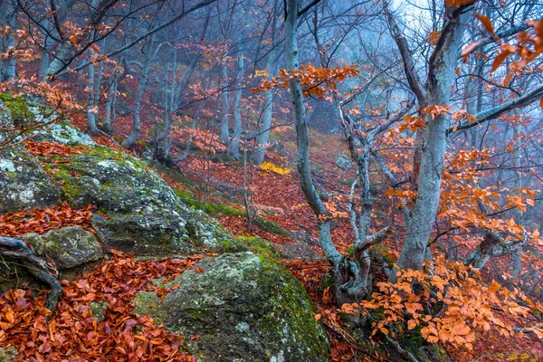 Bergen Herfst Berglandschap Oktober Tijdens Mist — Stockfoto